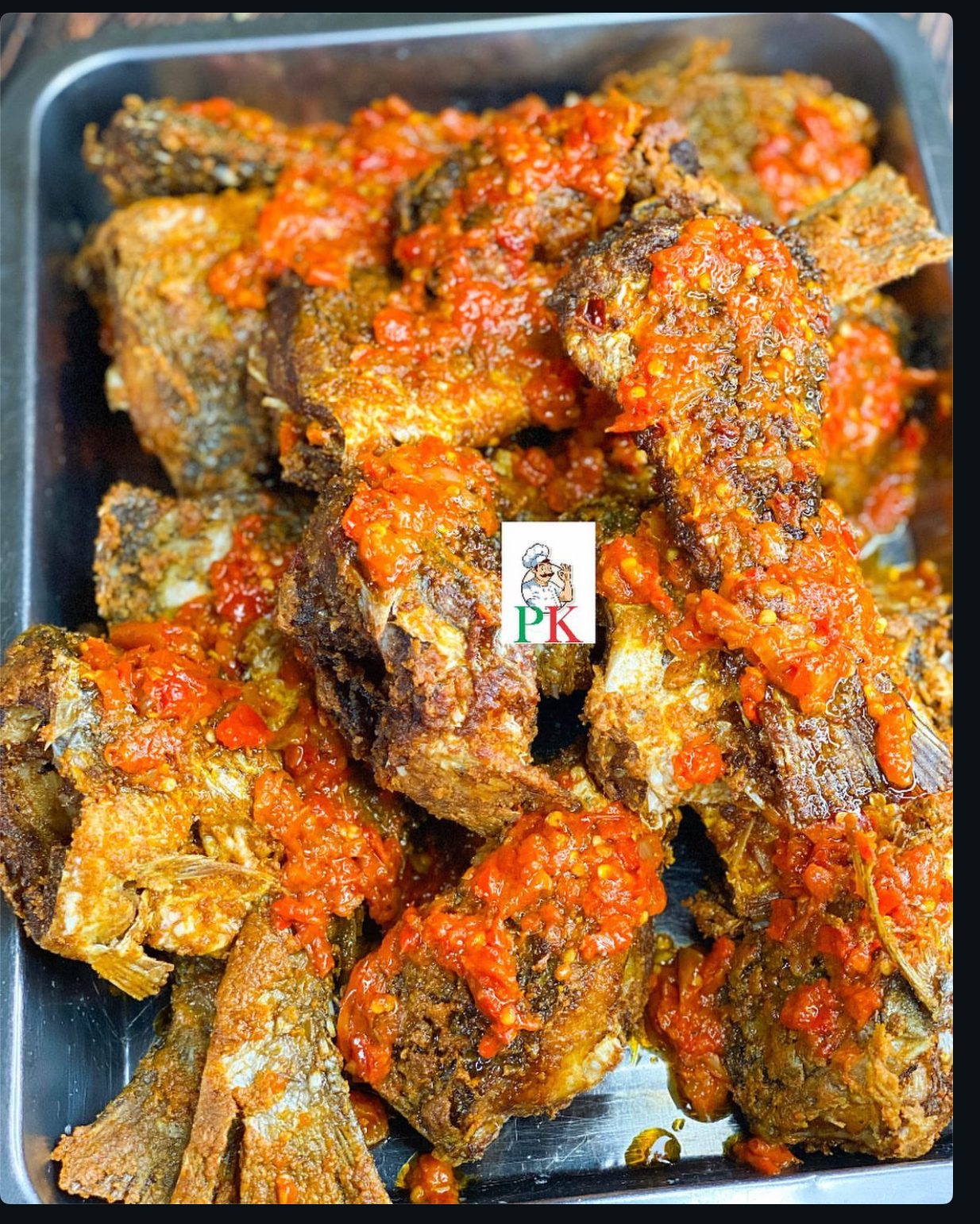 Croaker fish