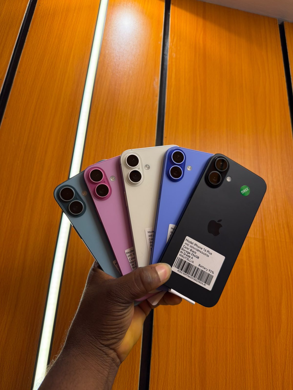16 plus